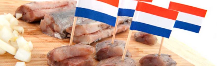 Een nieuw evenement voor MKB Westland