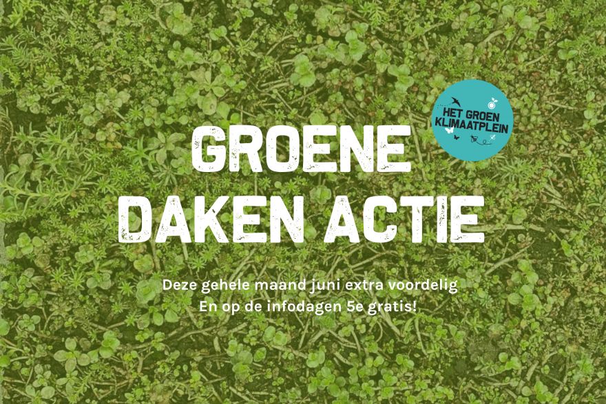Groene daken actie!